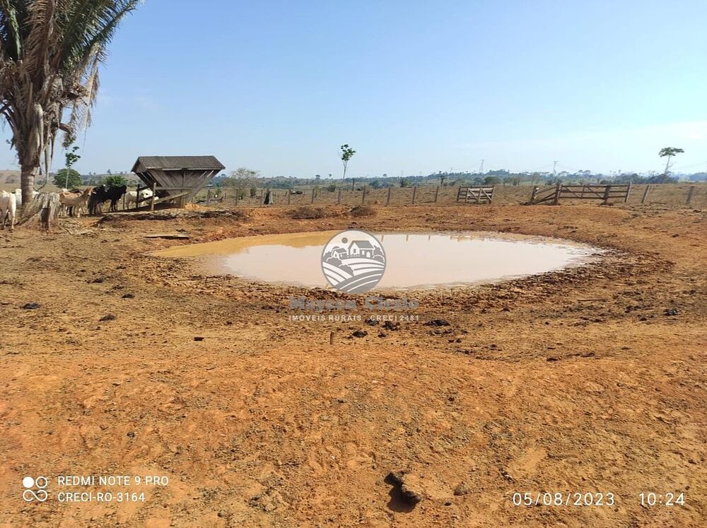 Sítio à venda, 605000m² - Foto 6