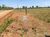 Sítio, 605000 m² - Foto 7
