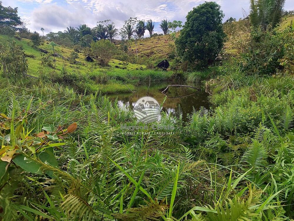 Fazenda-Sítio-Chácara - Foto 12