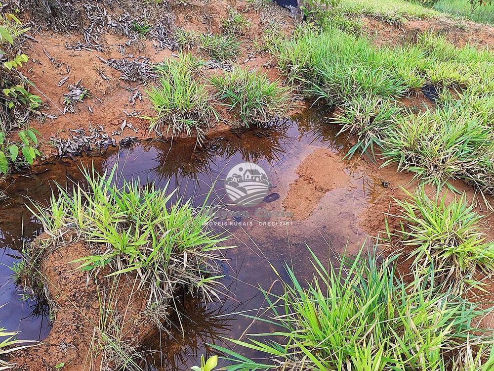 Fazenda-Sítio-Chácara - Foto 17