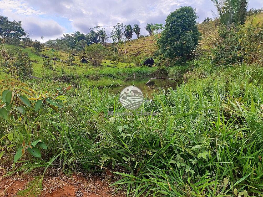 Fazenda-Sítio-Chácara - Foto 10