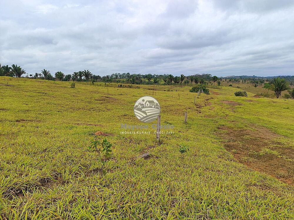 Fazenda-Sítio-Chácara - Foto 8