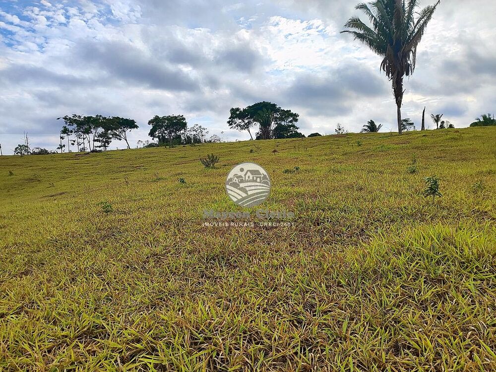 Fazenda-Sítio-Chácara - Foto 11