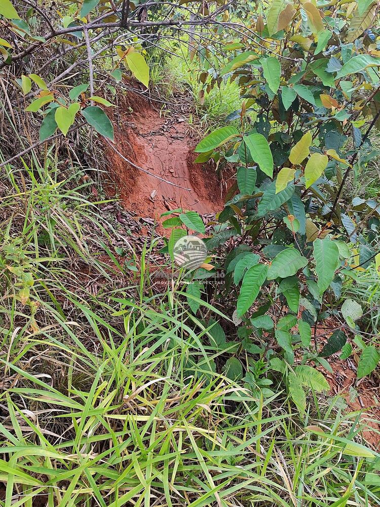 Fazenda-Sítio-Chácara - Foto 15