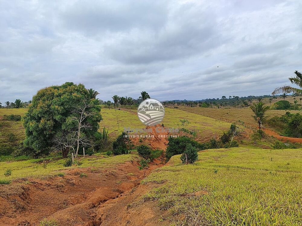 Fazenda-Sítio-Chácara - Foto 3