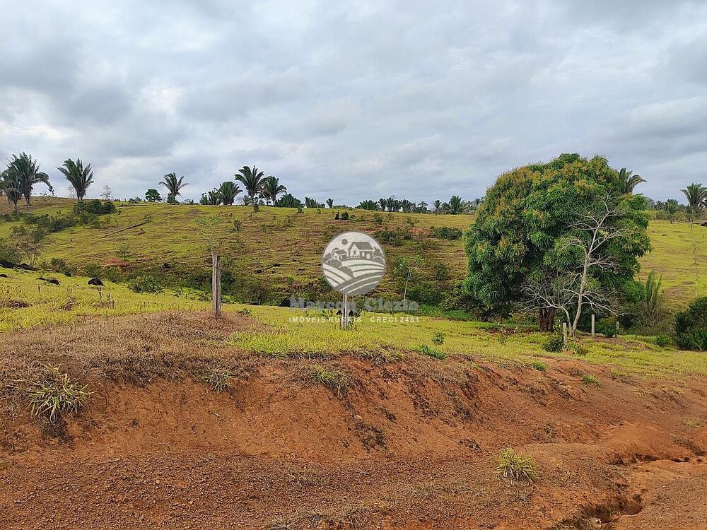 Fazenda-Sítio-Chácara - Foto 5