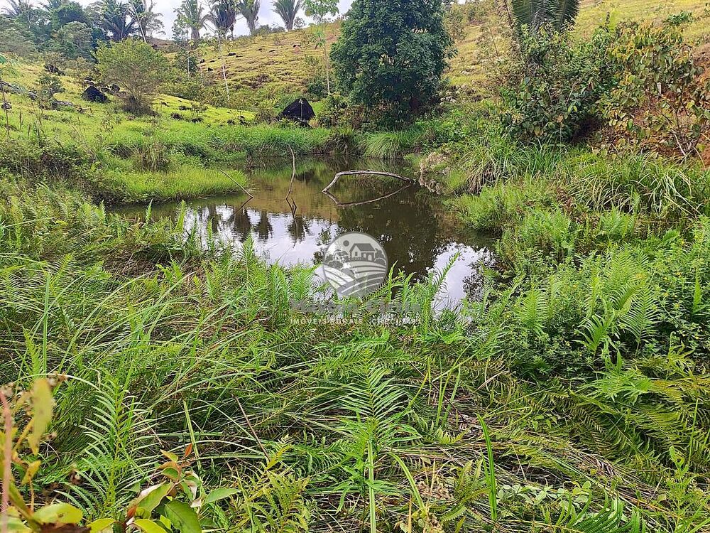 Fazenda-Sítio-Chácara - Foto 19