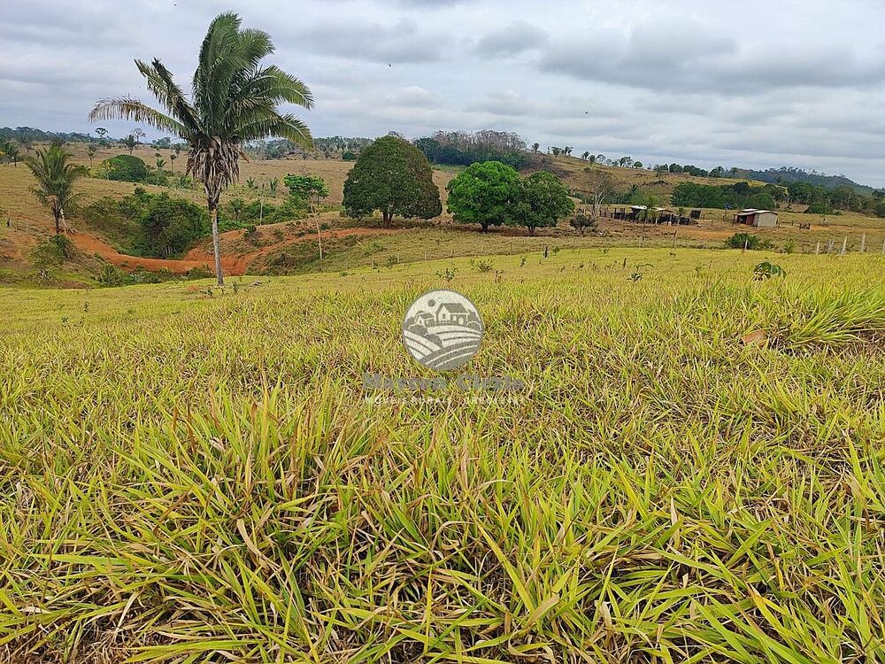 Fazenda-Sítio-Chácara - Foto 13