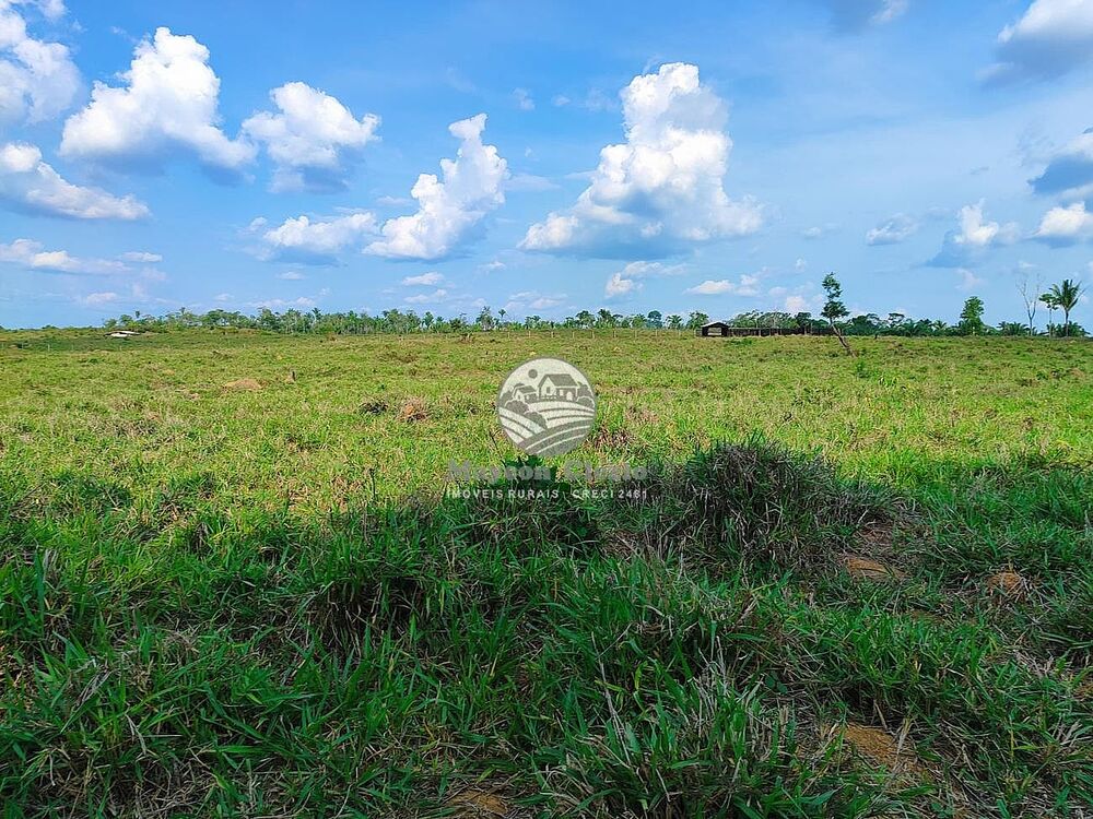 Fazenda-Sítio-Chácara - Foto 3