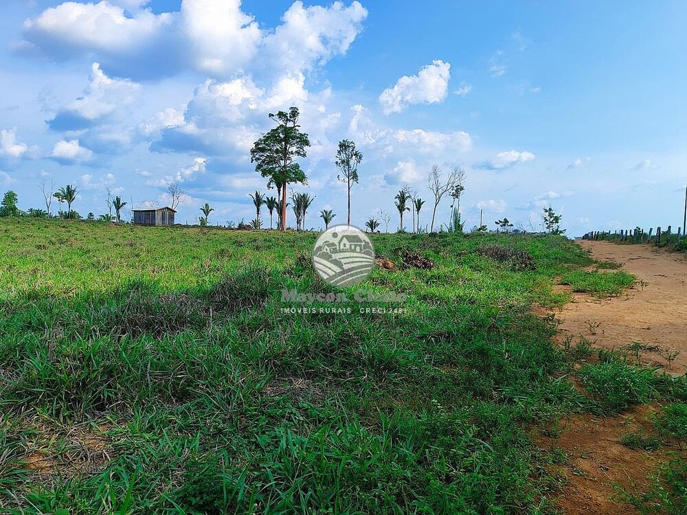 Fazenda-Sítio-Chácara - Foto 4
