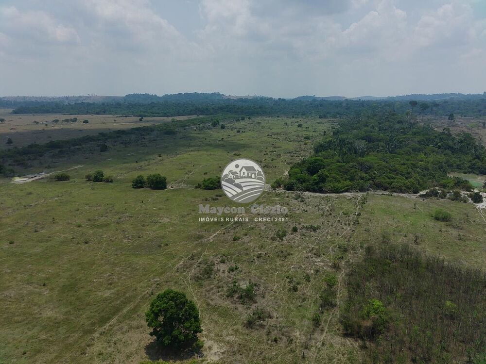 Sítio, 992000 m² - Foto 7