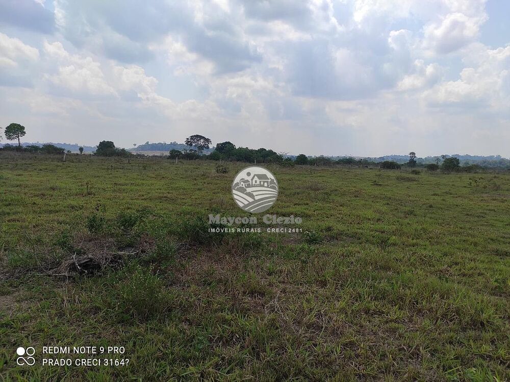 Sítio, 992000 m² - Foto 11