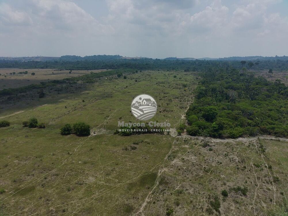 Sítio, 992000 m² - Foto 6