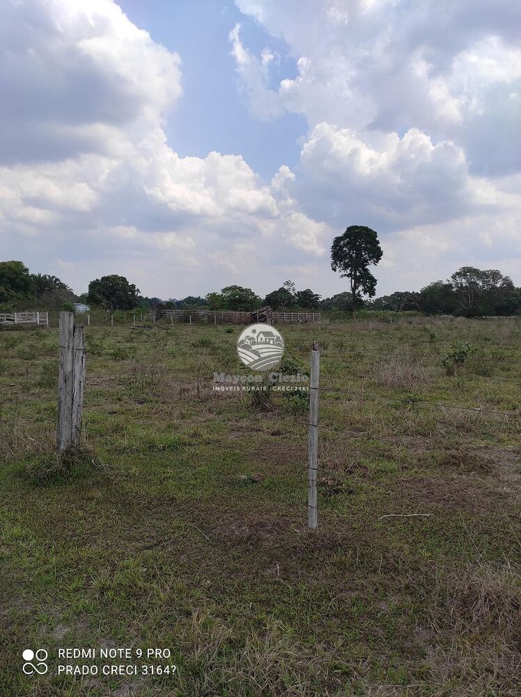 Sítio, 992000 m² - Foto 13