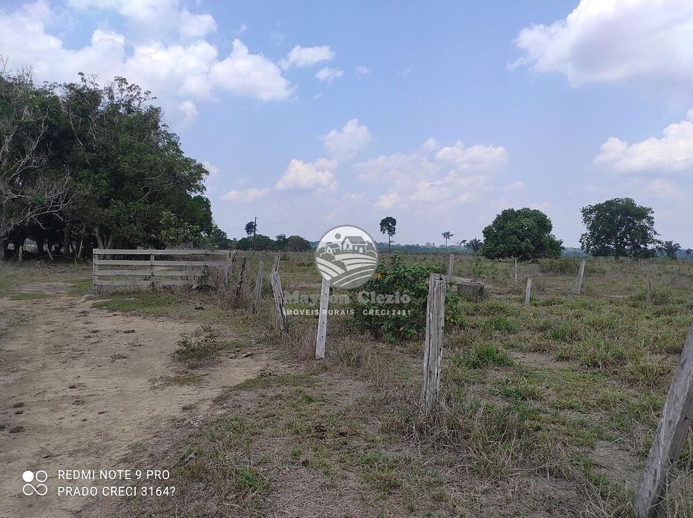 Sítio, 992000 m² - Foto 14