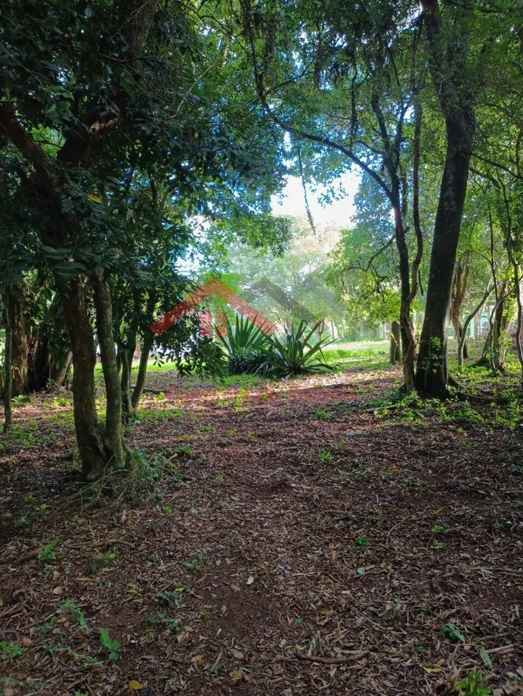 Sítio, 4 m² - Foto 8