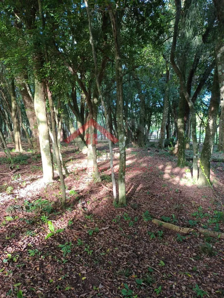 Fazenda - Foto 3