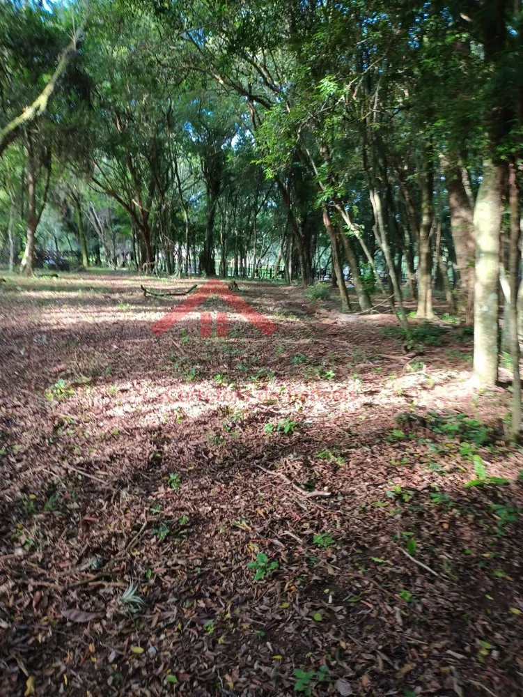 Fazenda - Foto 10