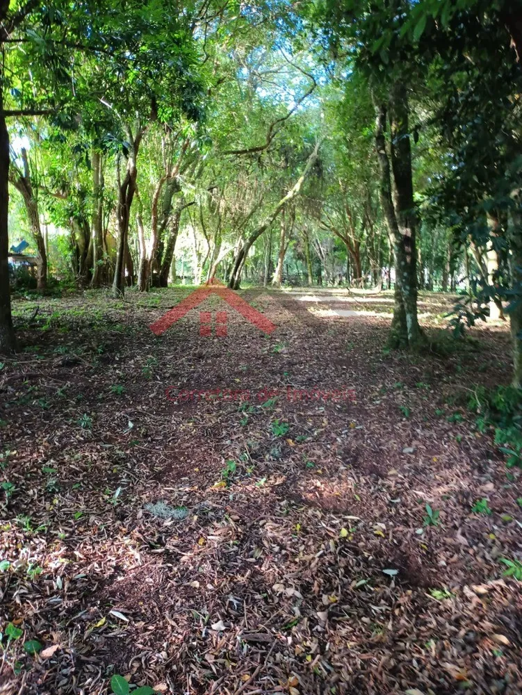 Fazenda - Foto 12