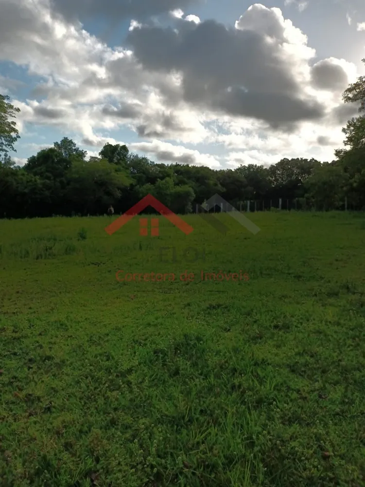 Sítio, 4 m² - Foto 13