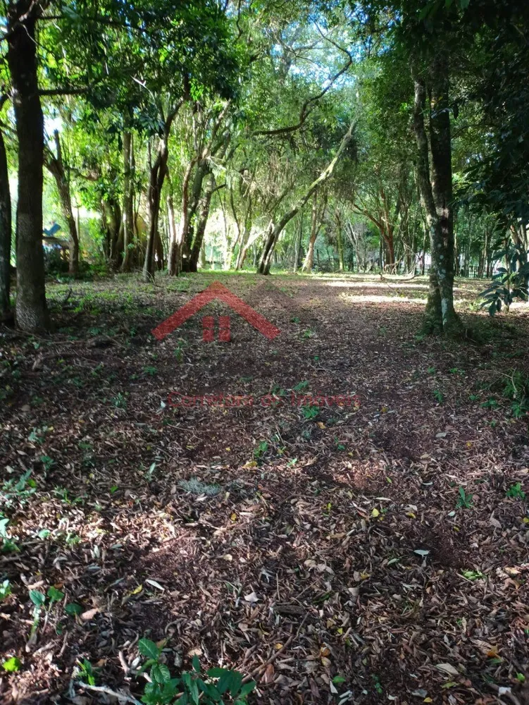 Sítio, 4 m² - Foto 5