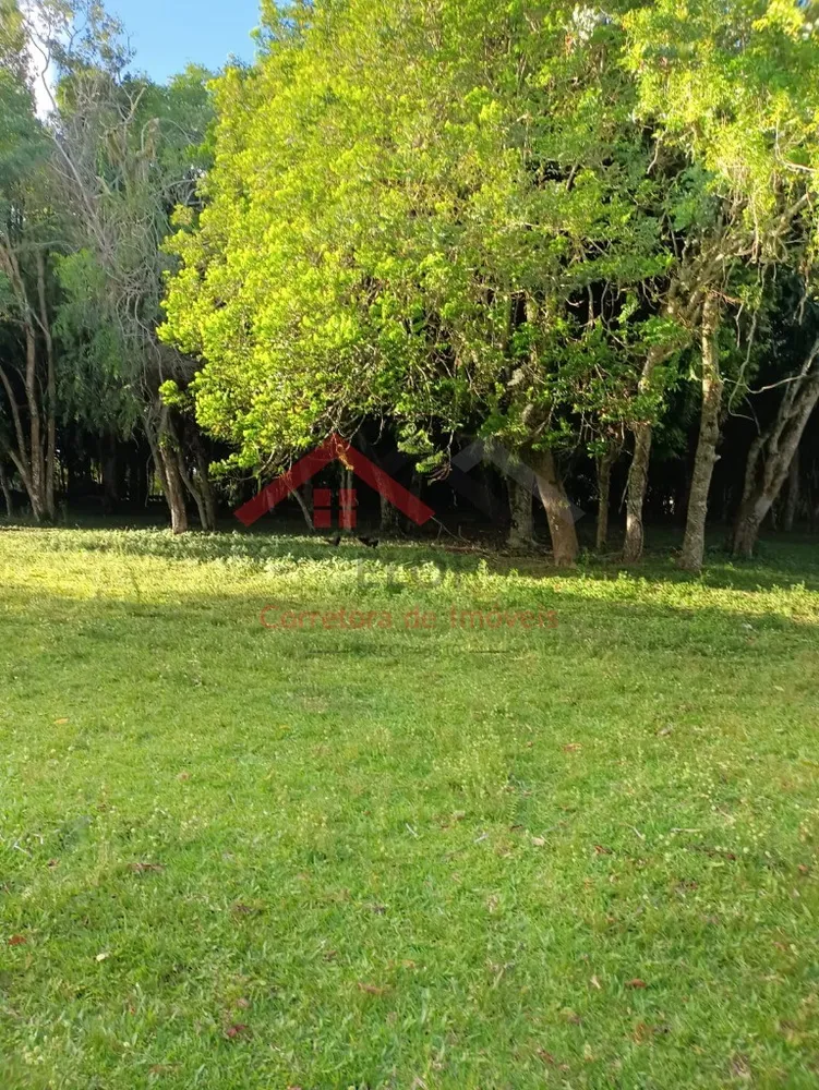 Fazenda - Foto 7