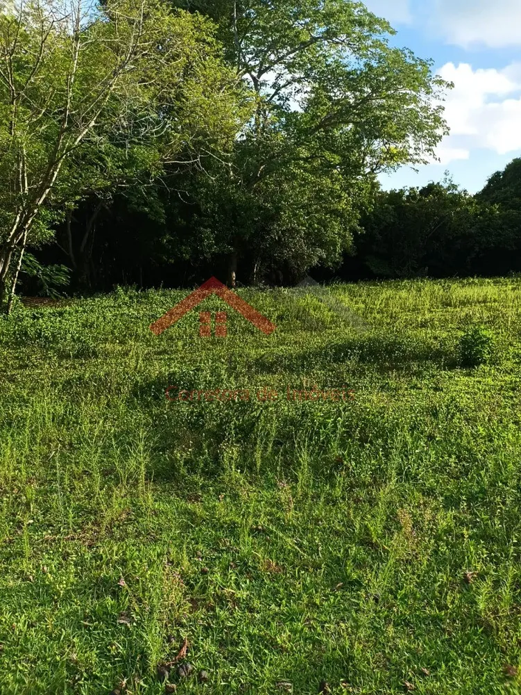 Fazenda - Foto 11