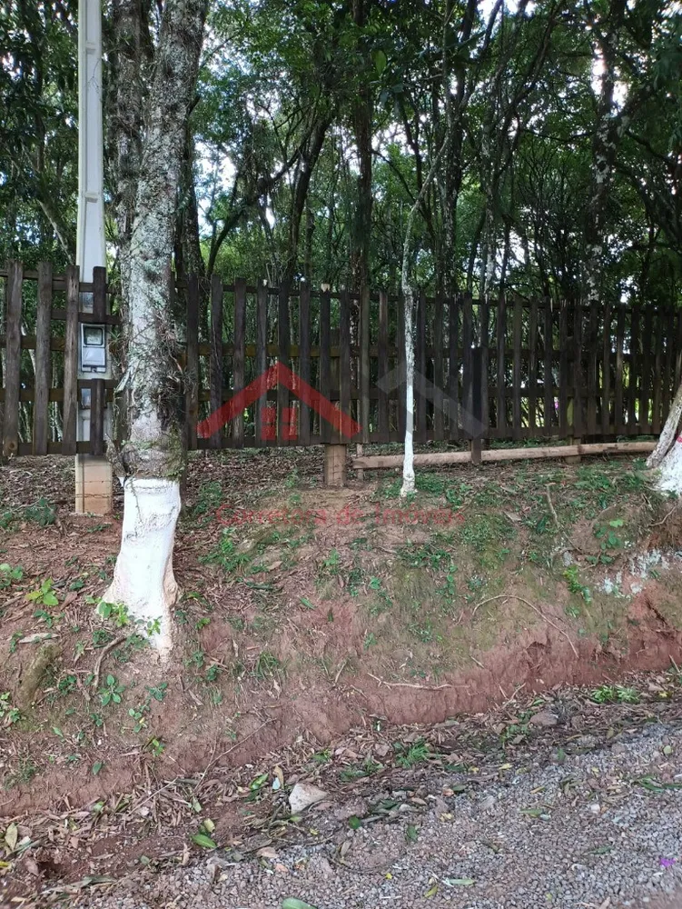 Fazenda - Foto 2