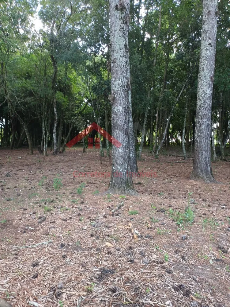 Fazenda - Foto 4