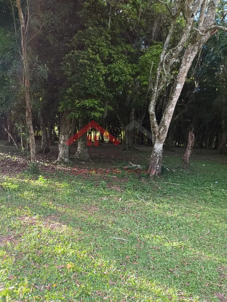 Sítio, 4 m² - Foto 11
