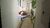 Apartamento, 1 quarto, 60 m² - Foto 17
