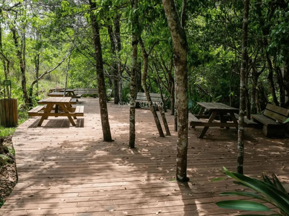 Casa, 3 quartos, 174 m² - Foto 11