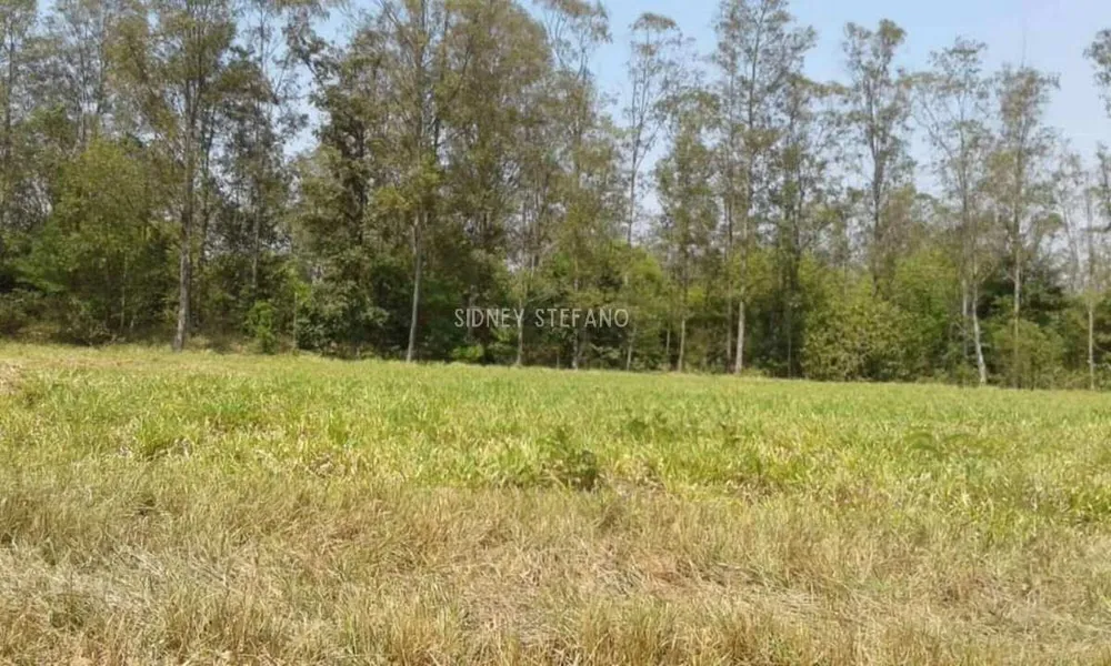 Terreno, 891 m² - Foto 1
