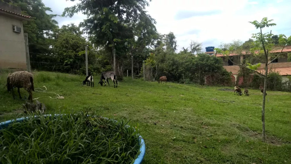 Chácara, 3 quartos - Foto 12