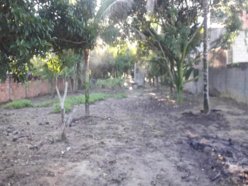 Terreno, 2000 m² - Foto 4