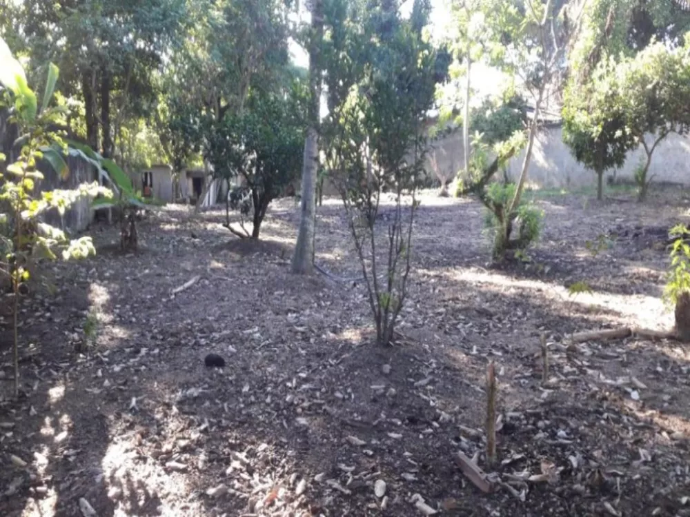 Terreno, 2000 m² - Foto 2
