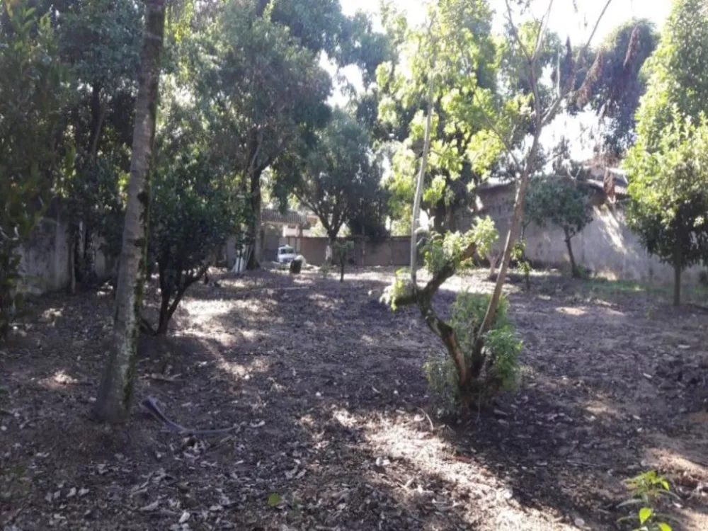 Terreno, 2000 m² - Foto 3