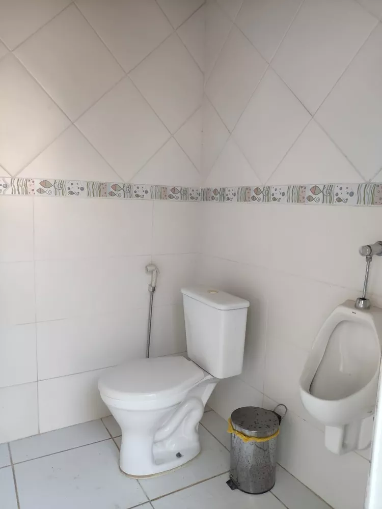 Casa, 6 quartos, 245 m² - Foto 43