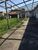 Loteamento e Condomínio, 700 m² - Foto 3