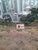Terreno, 780 m² - Foto 4