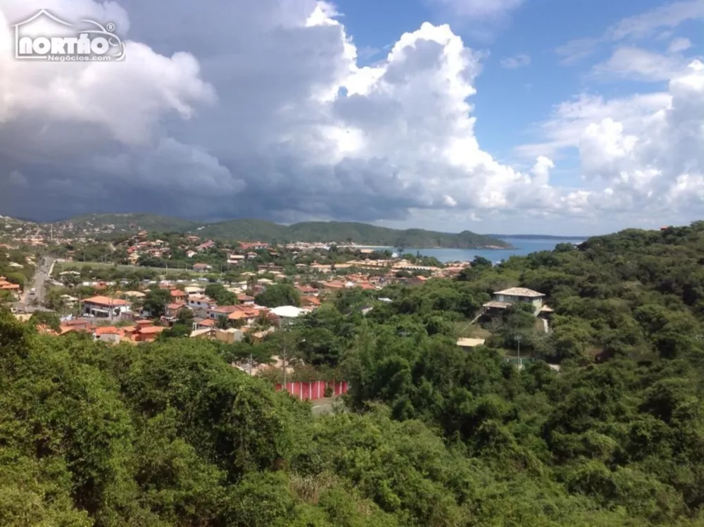 Casa à venda com 12 quartos, 2500m² - Foto 3