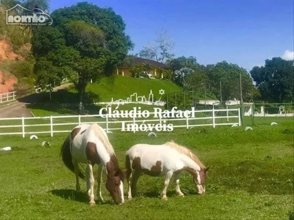 Casa, 10 quartos, 108900 m² - Foto 6