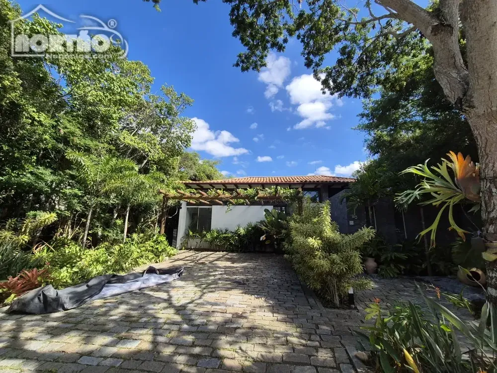 Casa, 3 quartos, 600 m² - Foto 5