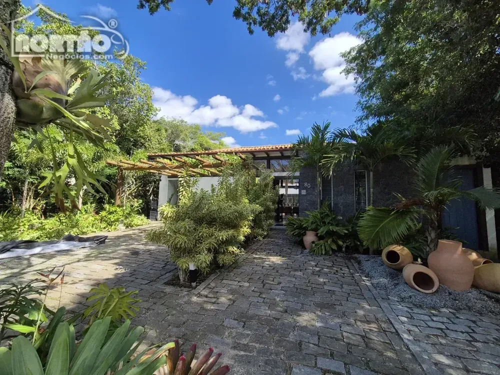 Casa, 3 quartos, 600 m² - Foto 6