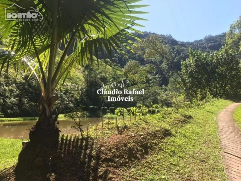 Casa, 4 quartos, 300 m² - Foto 6