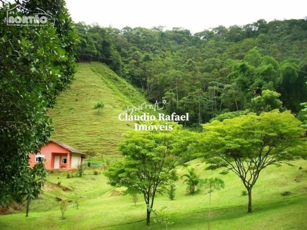 Casa, 4 quartos, 300 m² - Foto 4