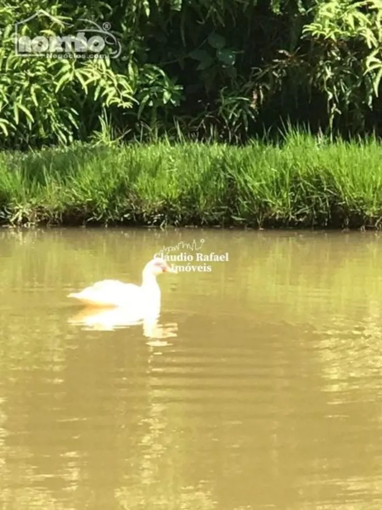 Casa, 4 quartos, 300 m² - Foto 3