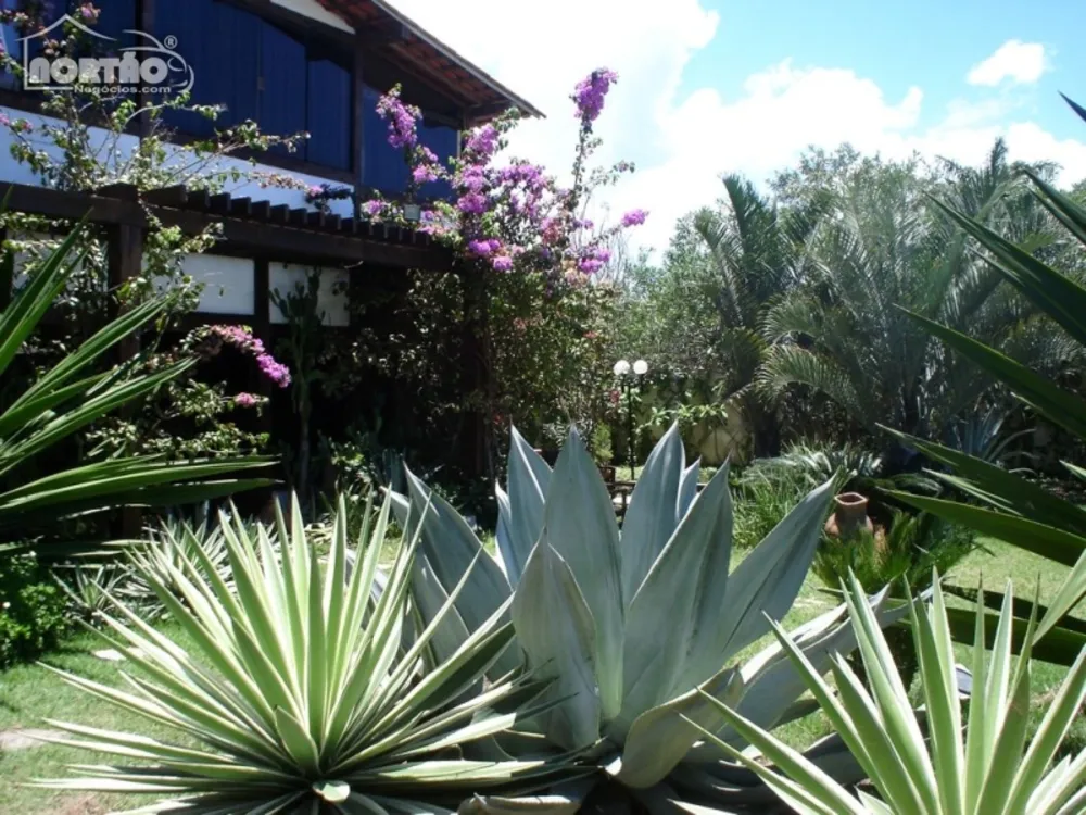 Casa, 3 quartos, 800 m² - Foto 6
