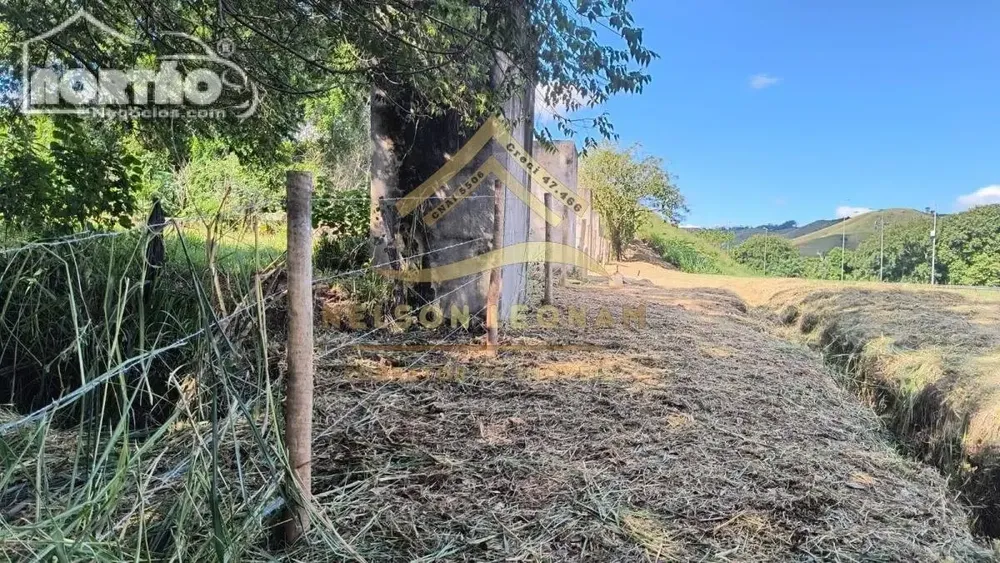 Casa, 32650 m² - Foto 8