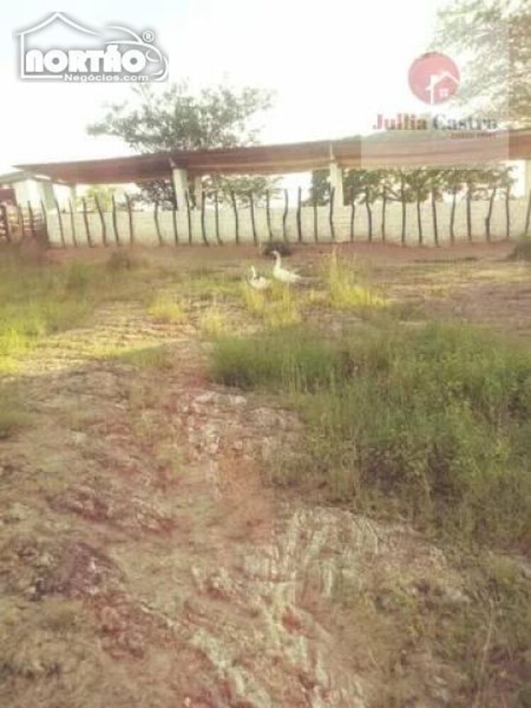 Terreno, 3 hectares - Foto 2